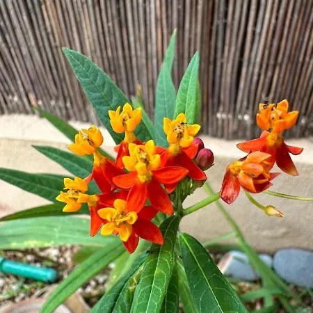 Apartamento Cómodo En El Mar