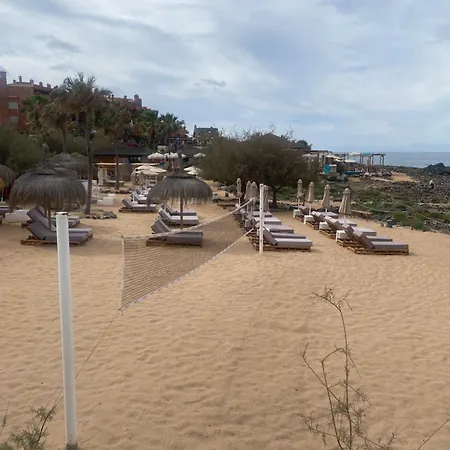 Cómodo En El Mar Palm-mar