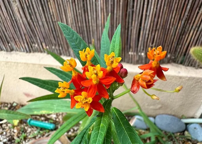 Lejlighed Comodo En El Mar